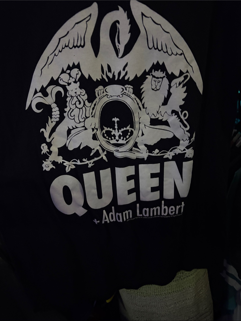 Gildan Black Queen + Adam Lambert Graphic Tee
